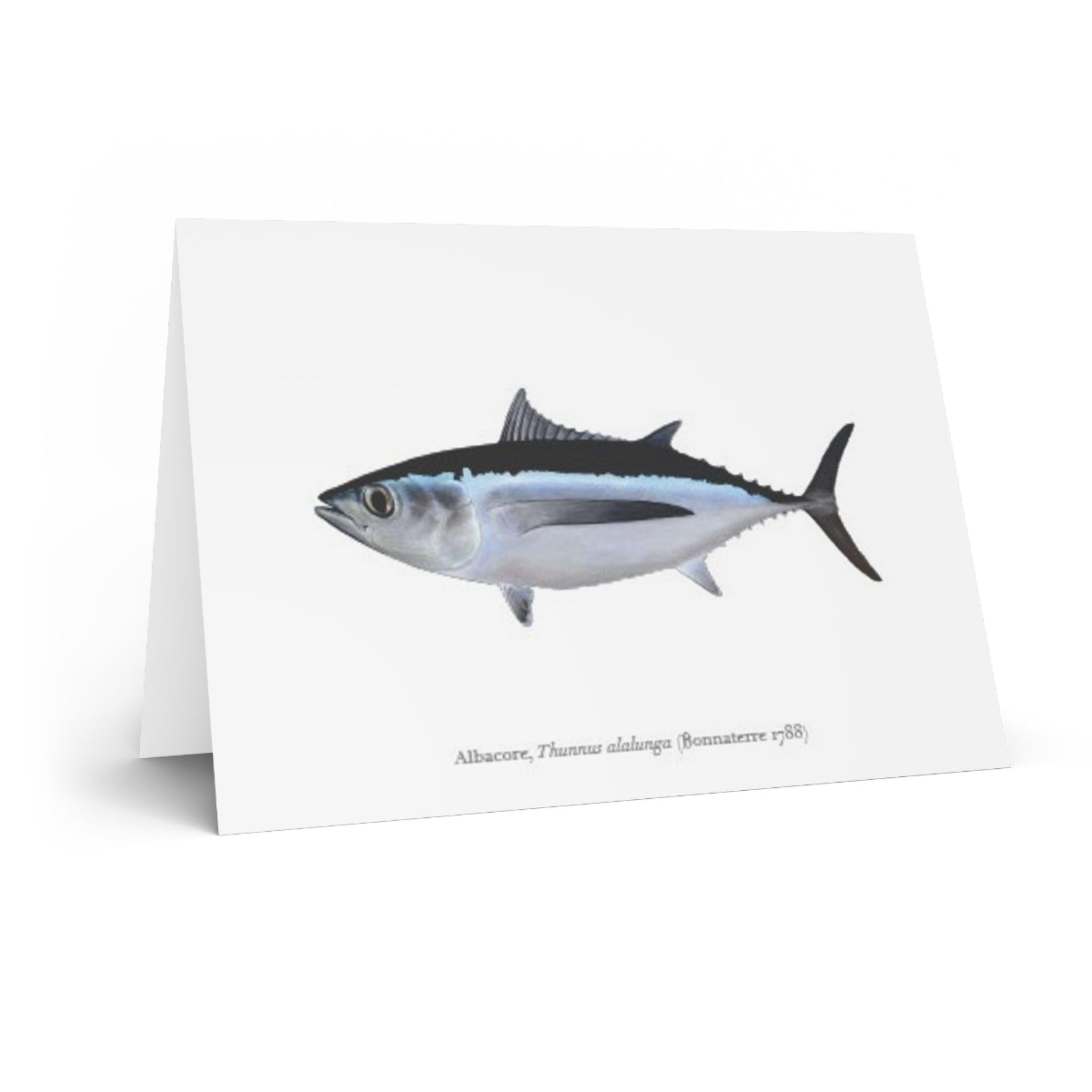 Albacore Card-Stick Figure Fish Illustration2