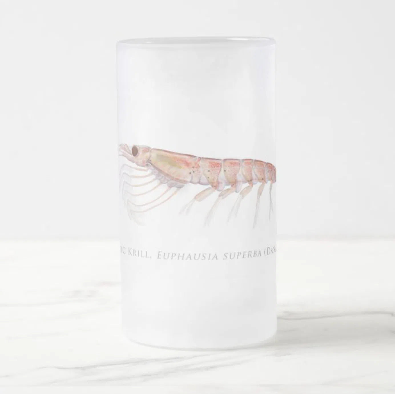 Antarctic Krill Stein featuring a detailed illustration by Dr. Lindsay Marshall