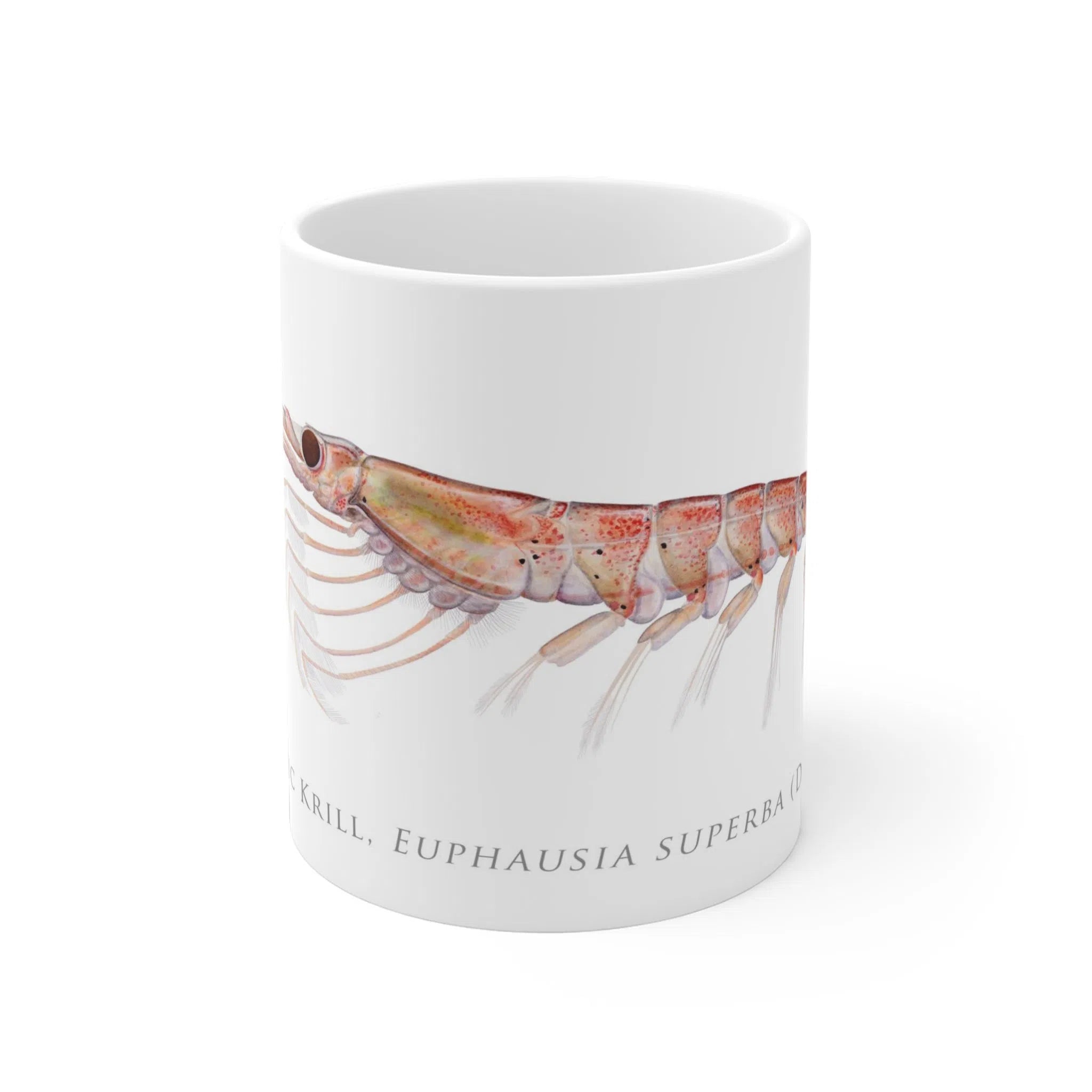 Antarctic Krill - Mug-Stick Figure Fish Illustration