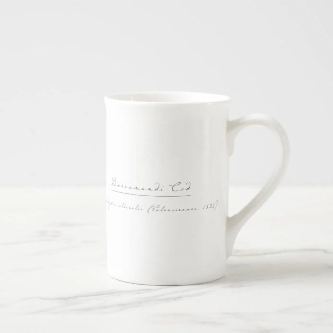 Barramundi Cod - Fine Bone China Mug-Stick Figure Fish Illustration