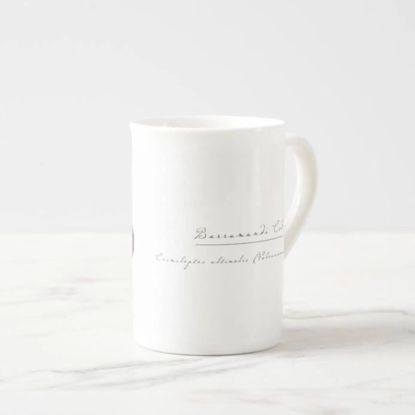 Barramundi Cod - Fine Bone China Mug-Stick Figure Fish Illustration