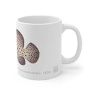 Barramundi Cod Mug-Stick Figure Fish Illustration