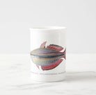 Goyder River Rainbowfish - Fine Bone China Mug-Stick Figure Fish Illustration