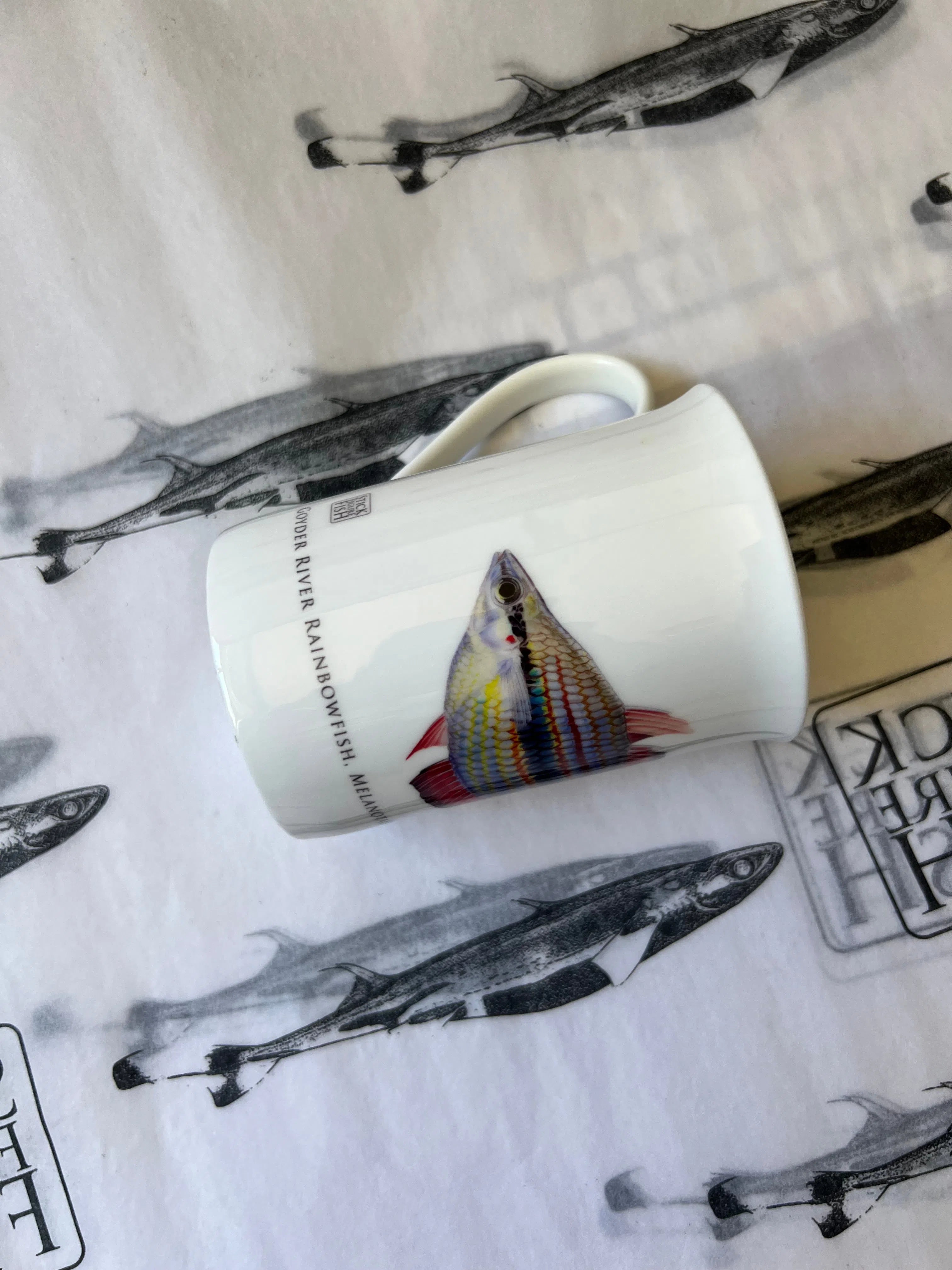 Goyder River Rainbowfish - Fine Bone China Mug-Stick Figure Fish Illustration