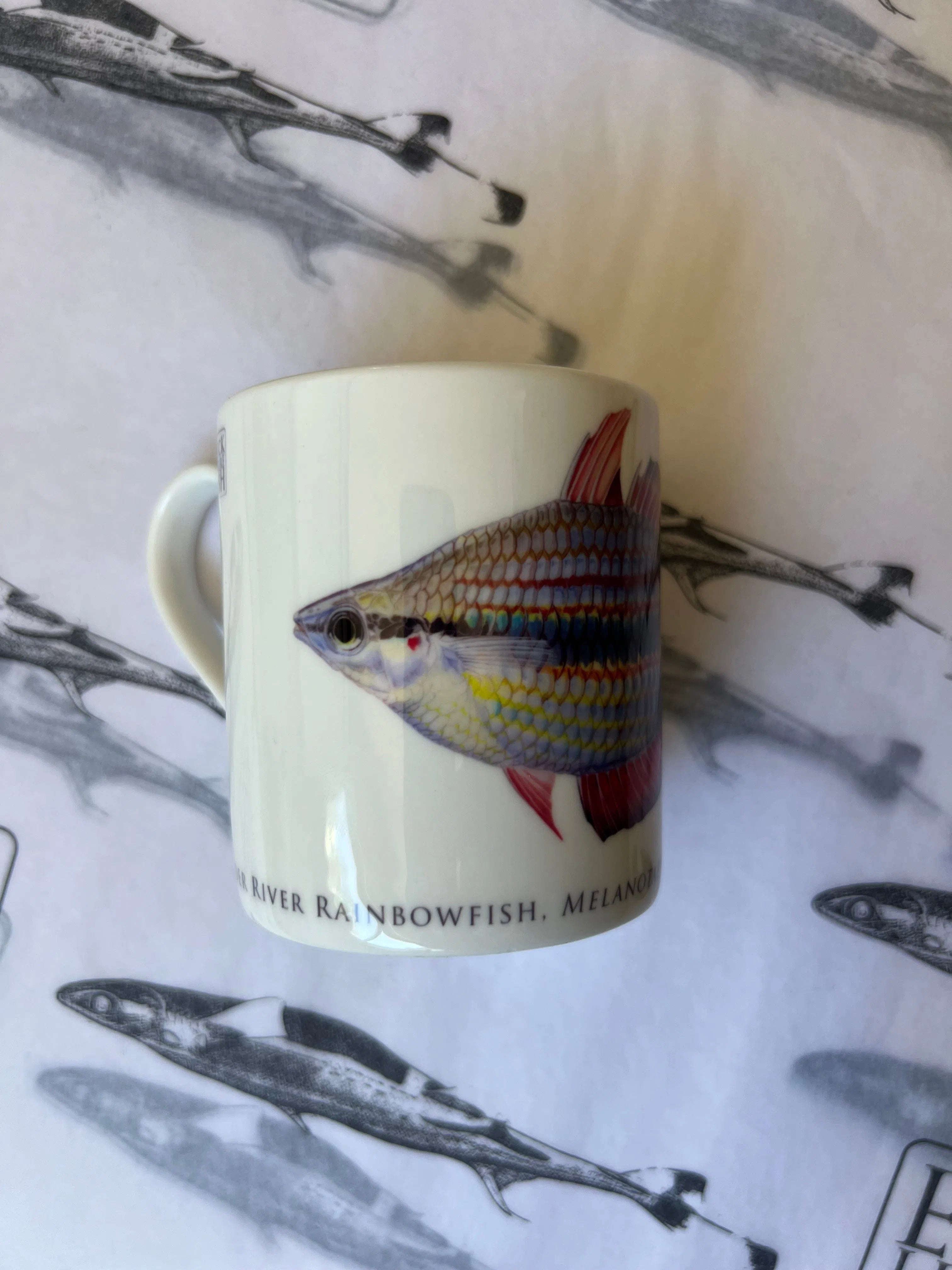 Goyder River Rainbowfish - Fine Bone China Mug-Stick Figure Fish Illustration