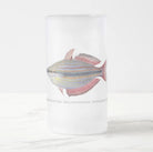 Goyder River Rainbowfish - Glass Stein-Stick Figure Fish Illustration