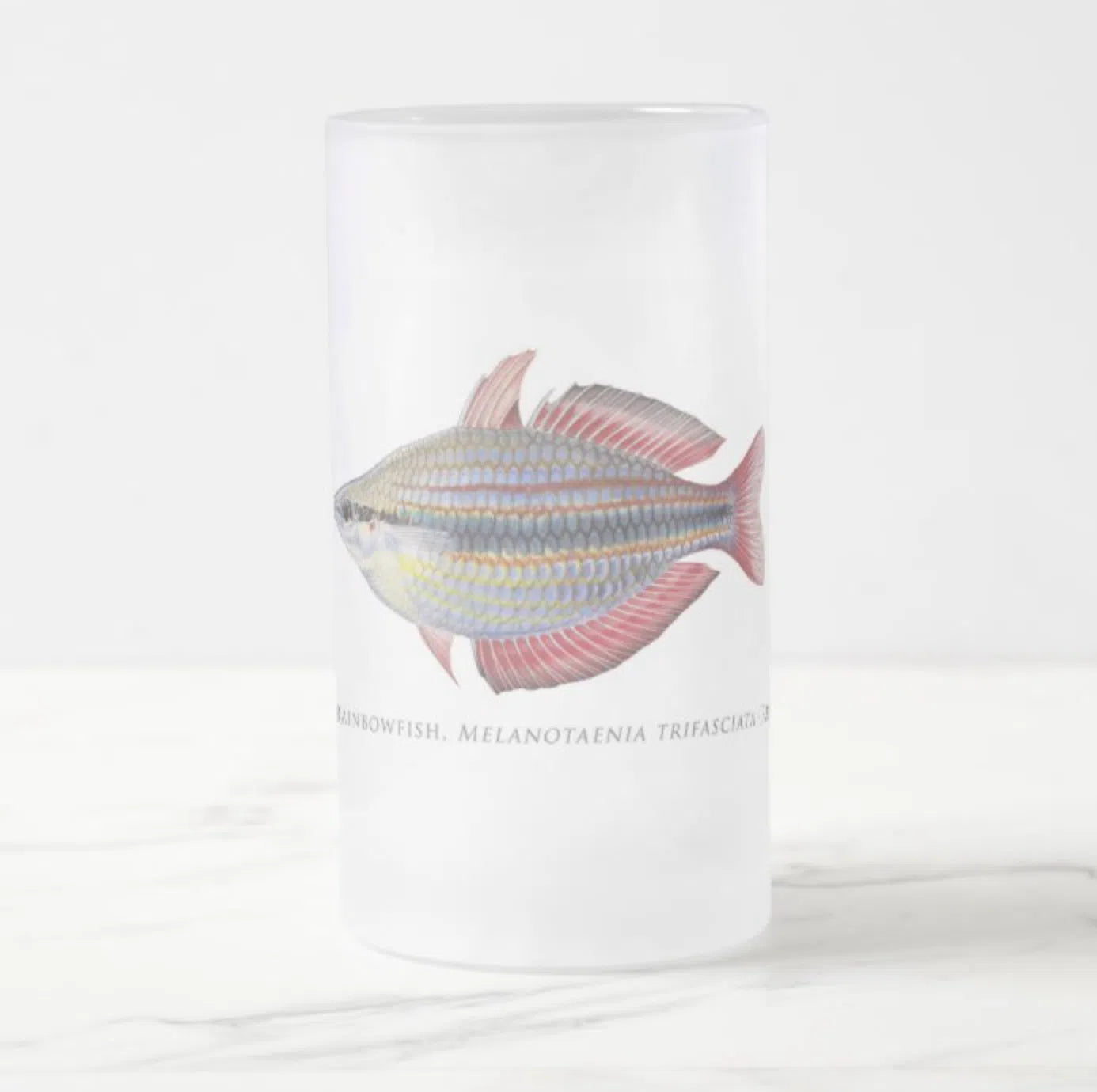 Goyder River Rainbowfish - Glass Stein-Stick Figure Fish Illustration