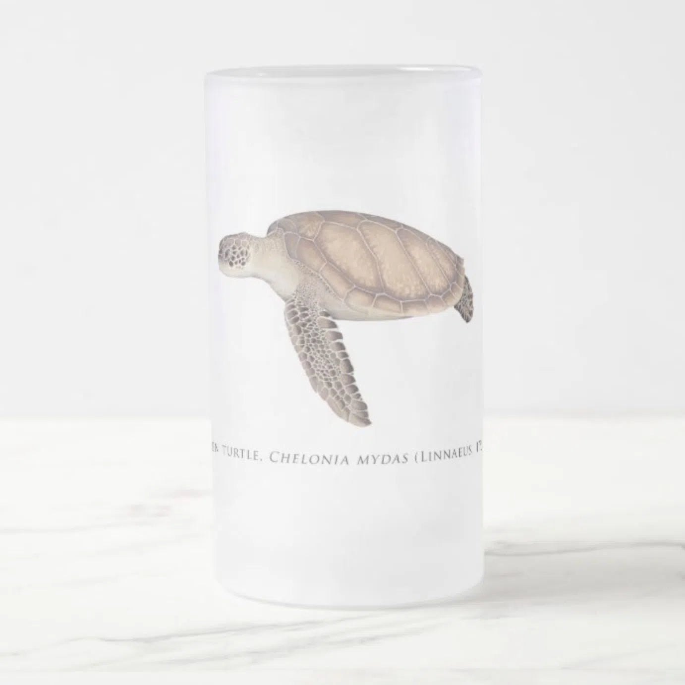 Green Sea Turtle - Frosted Glass Stein-Stick Figure Fish Illustration