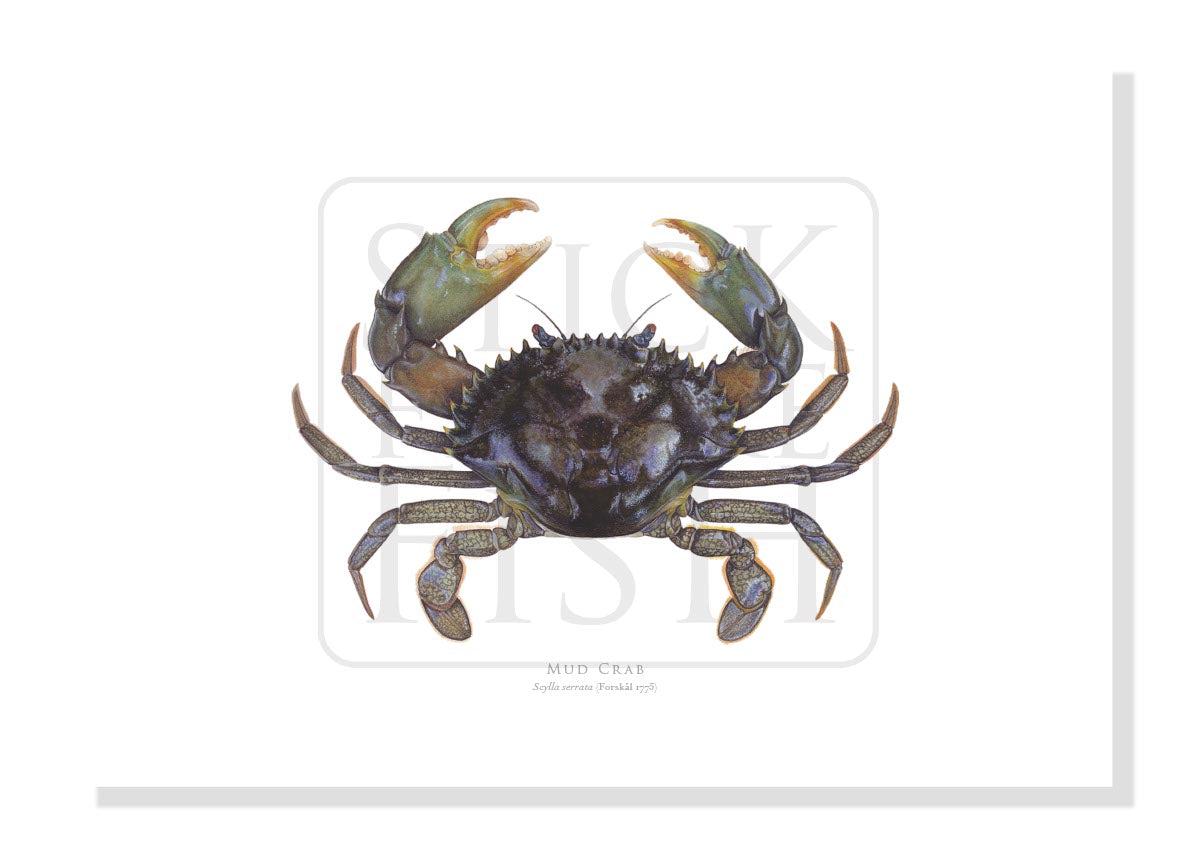 Mighty online Maryland Crab Giclee print of painting on Archival Paper