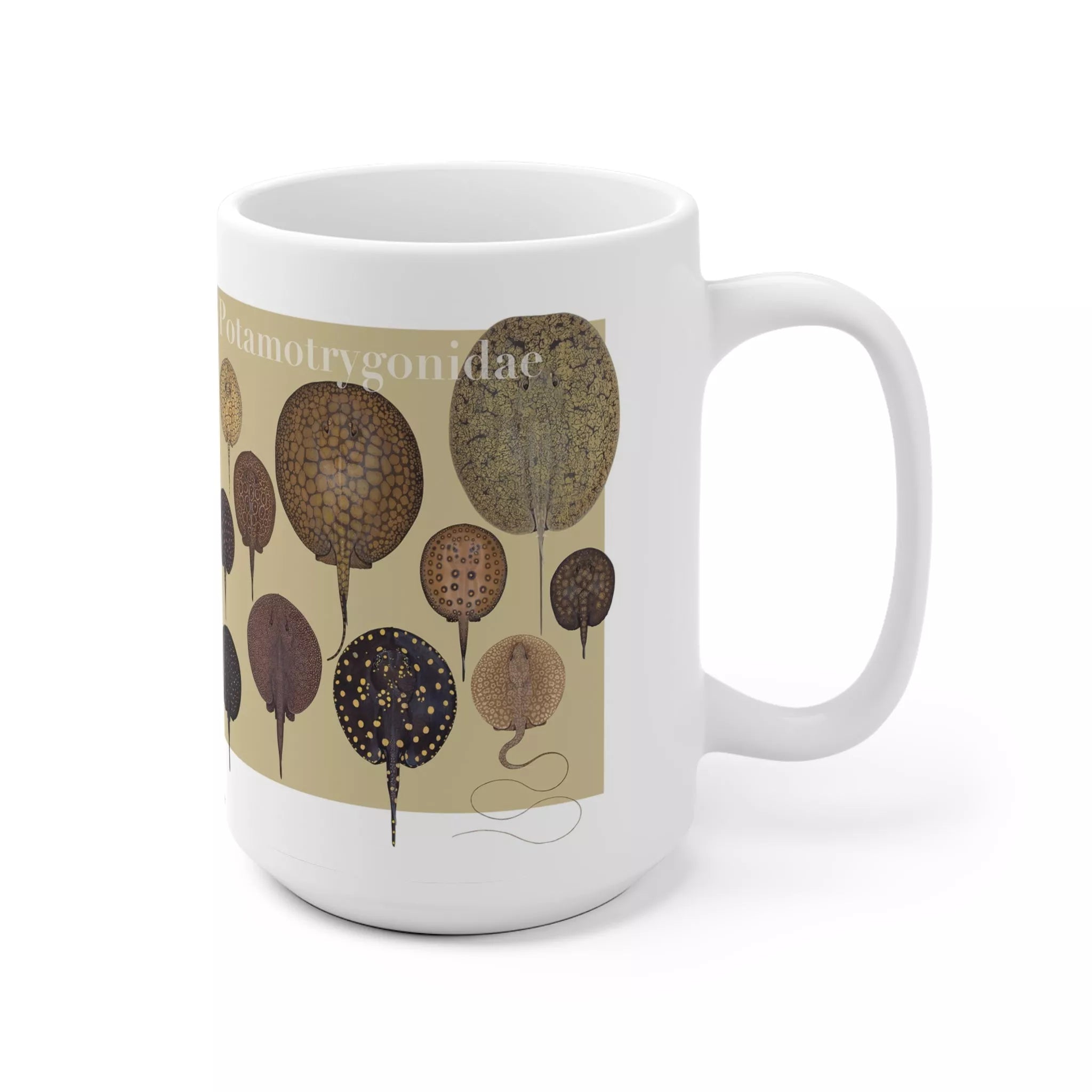 Rays of the World 2021 Calendar - Mug-Stick Figure Fish Illustration