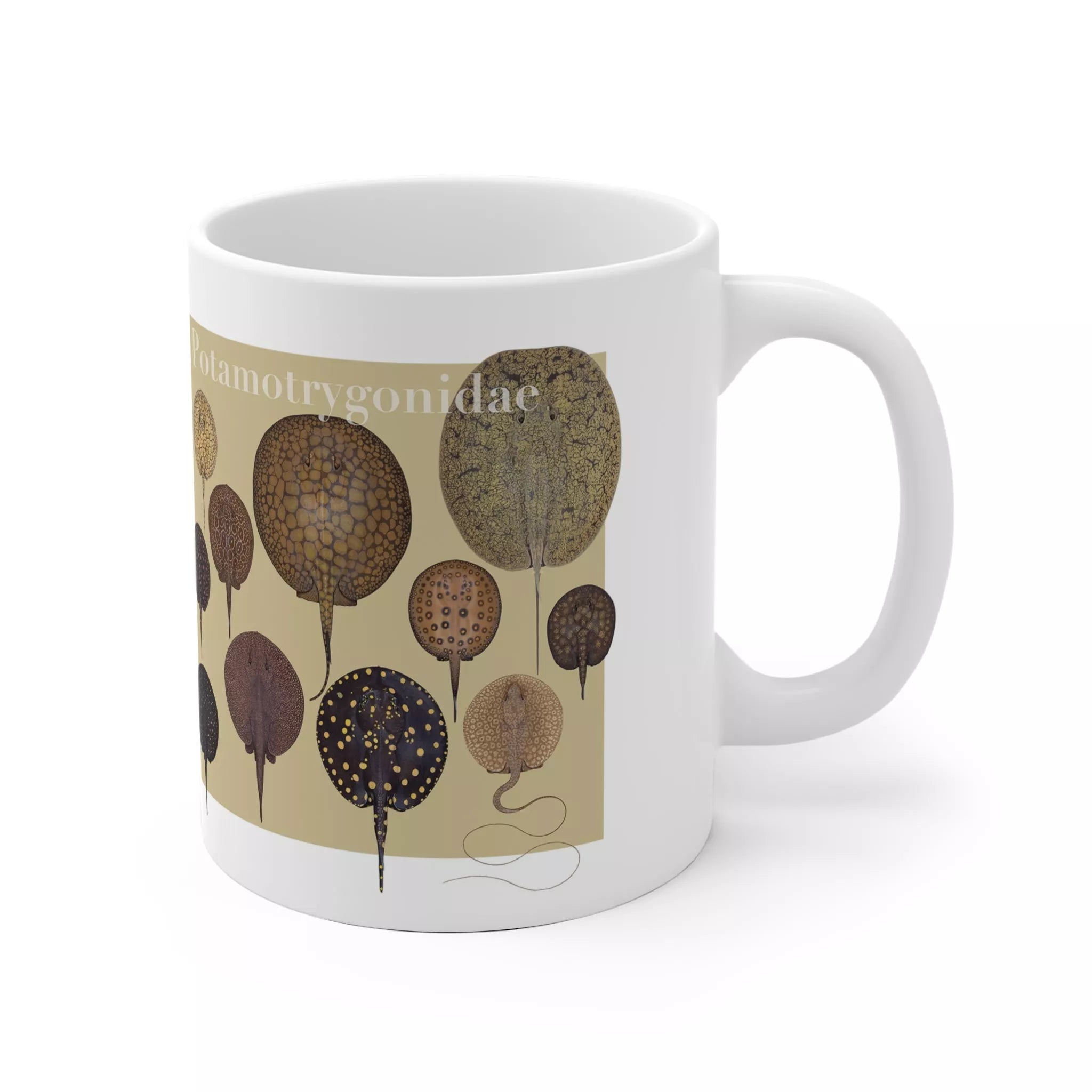 Rays of the World 2021 Calendar - Mug-Stick Figure Fish Illustration