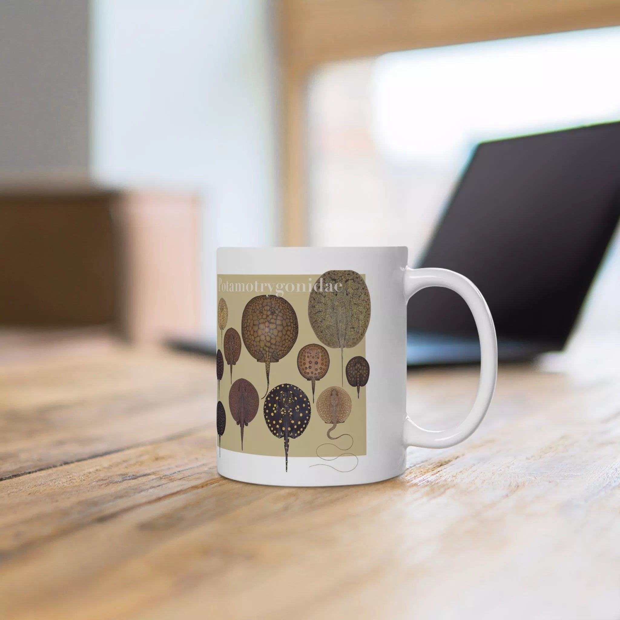 Rays of the World 2021 Calendar - Mug-Stick Figure Fish Illustration