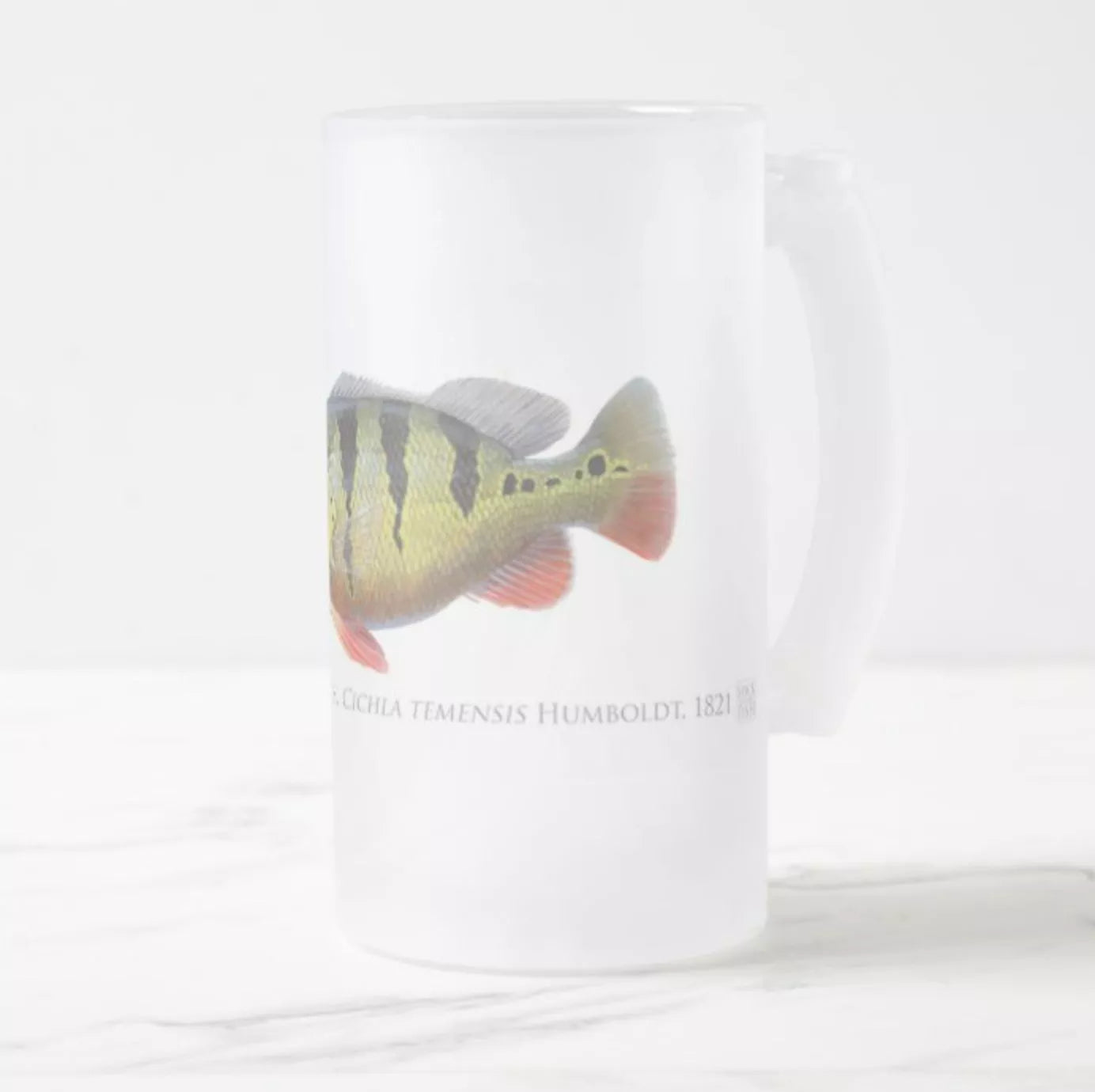 Speckled Peacock Bass (Pavon) - Frosted Glass Stein-Stick Figure Fish Illustration