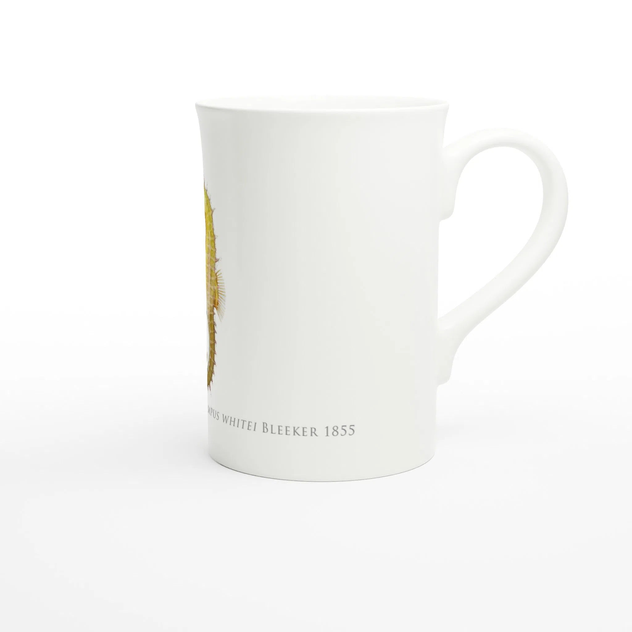 White's Seahorse - Fine Bone China Mug-Stick Figure Fish Illustration