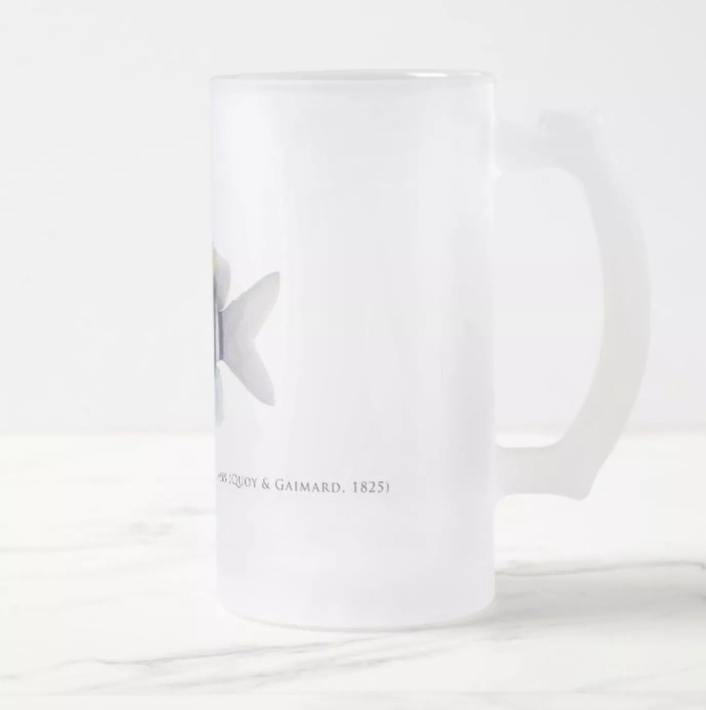 Indo-Pacific Sergeant - Frosted Glass Stein-Stick Figure Fish Illustration