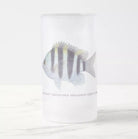 Indo-Pacific Sergeant - Frosted Glass Stein-Stick Figure Fish Illustration