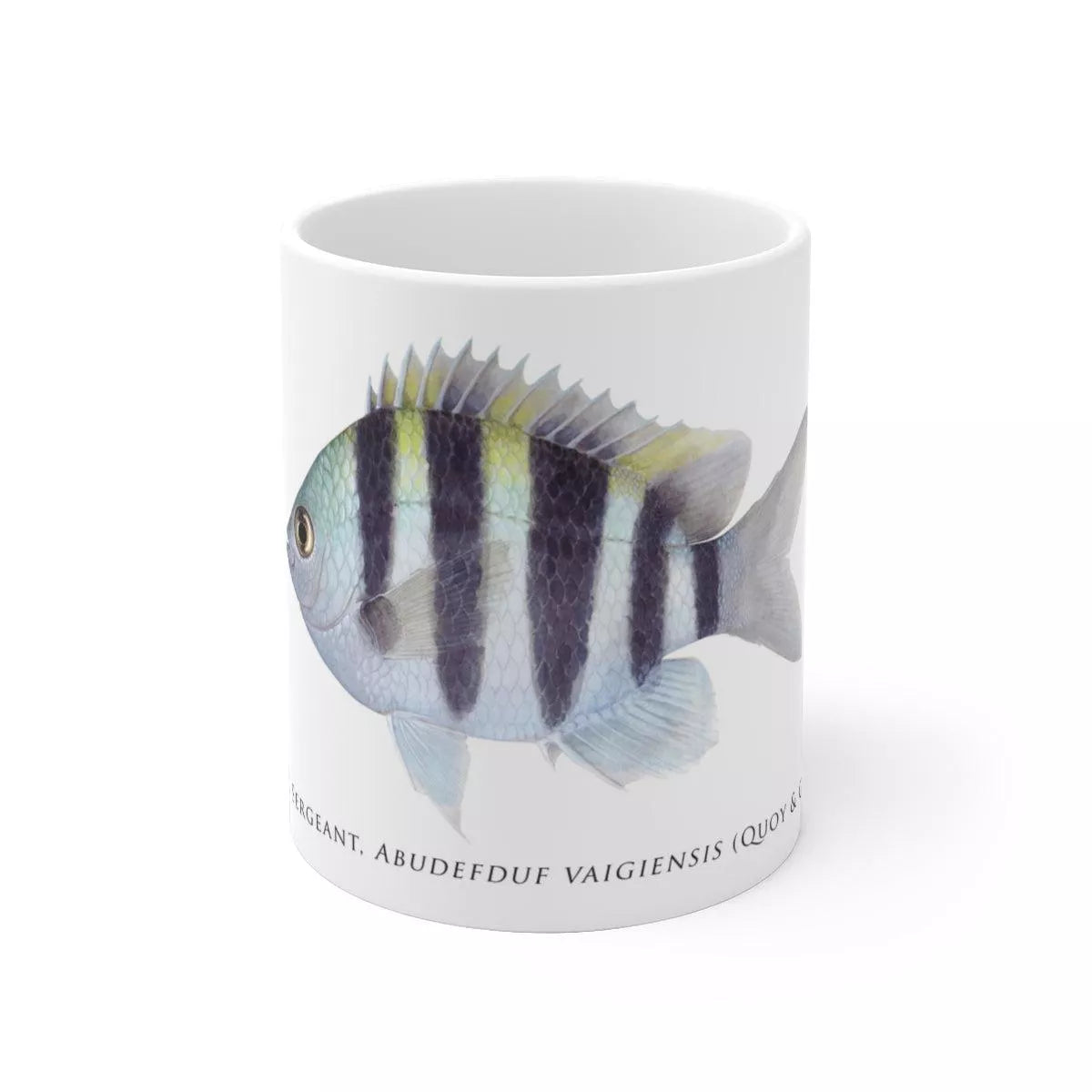 Indo-Pacific Sergeant Mug-Stick Figure Fish Illustration