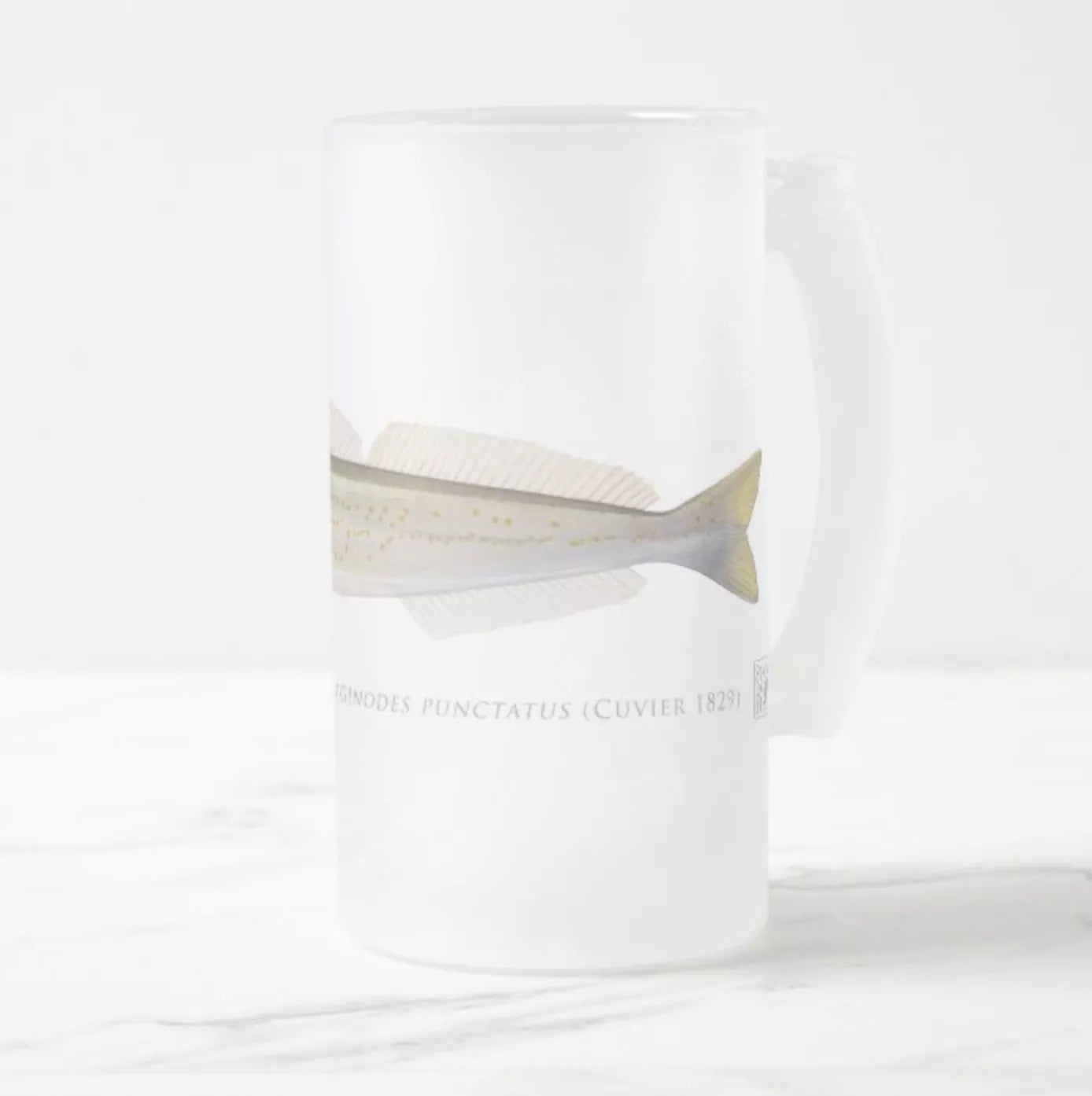 King George Whiting - Frosted Glass Stein-Stick Figure Fish Illustration