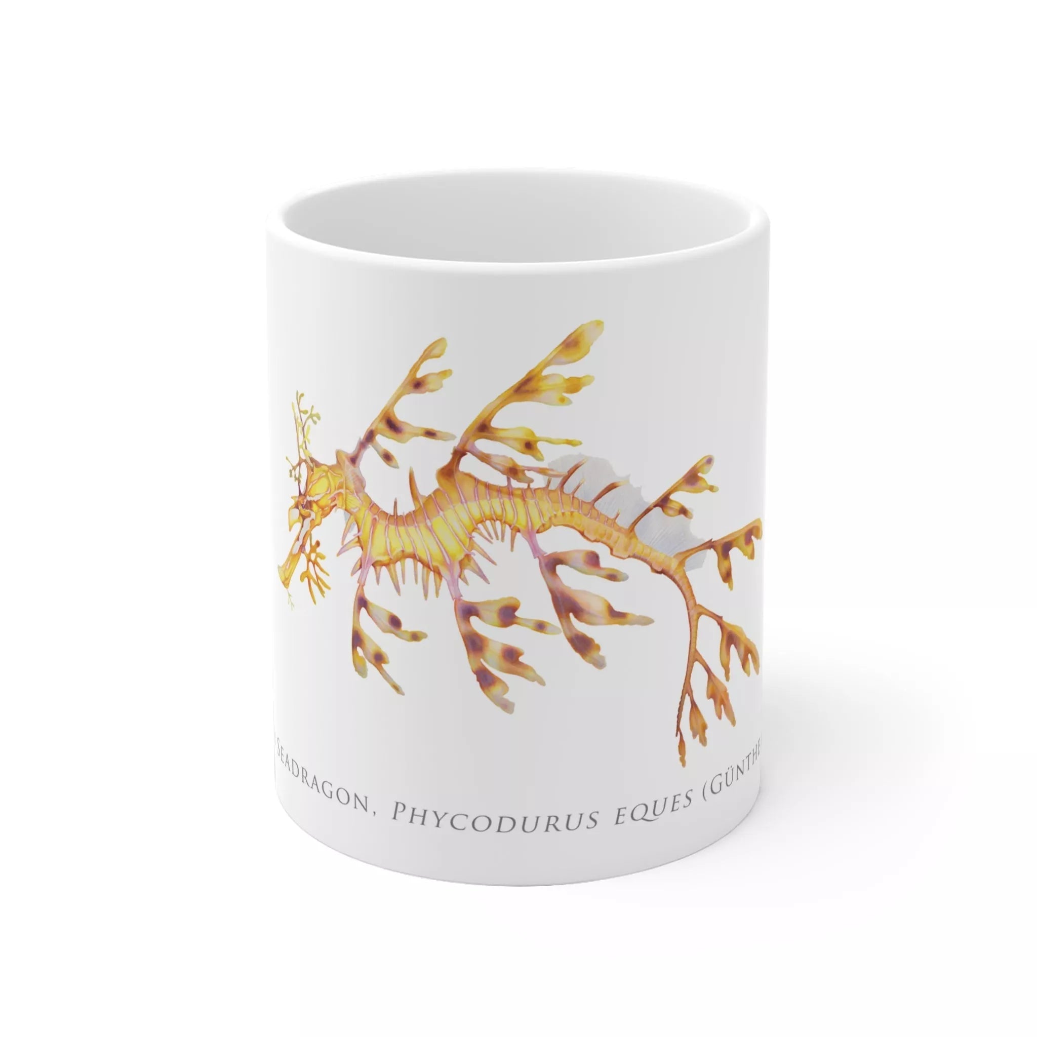 Leafy Seadragon, Phycodurus eques - Mug-Stick Figure Fish Illustration