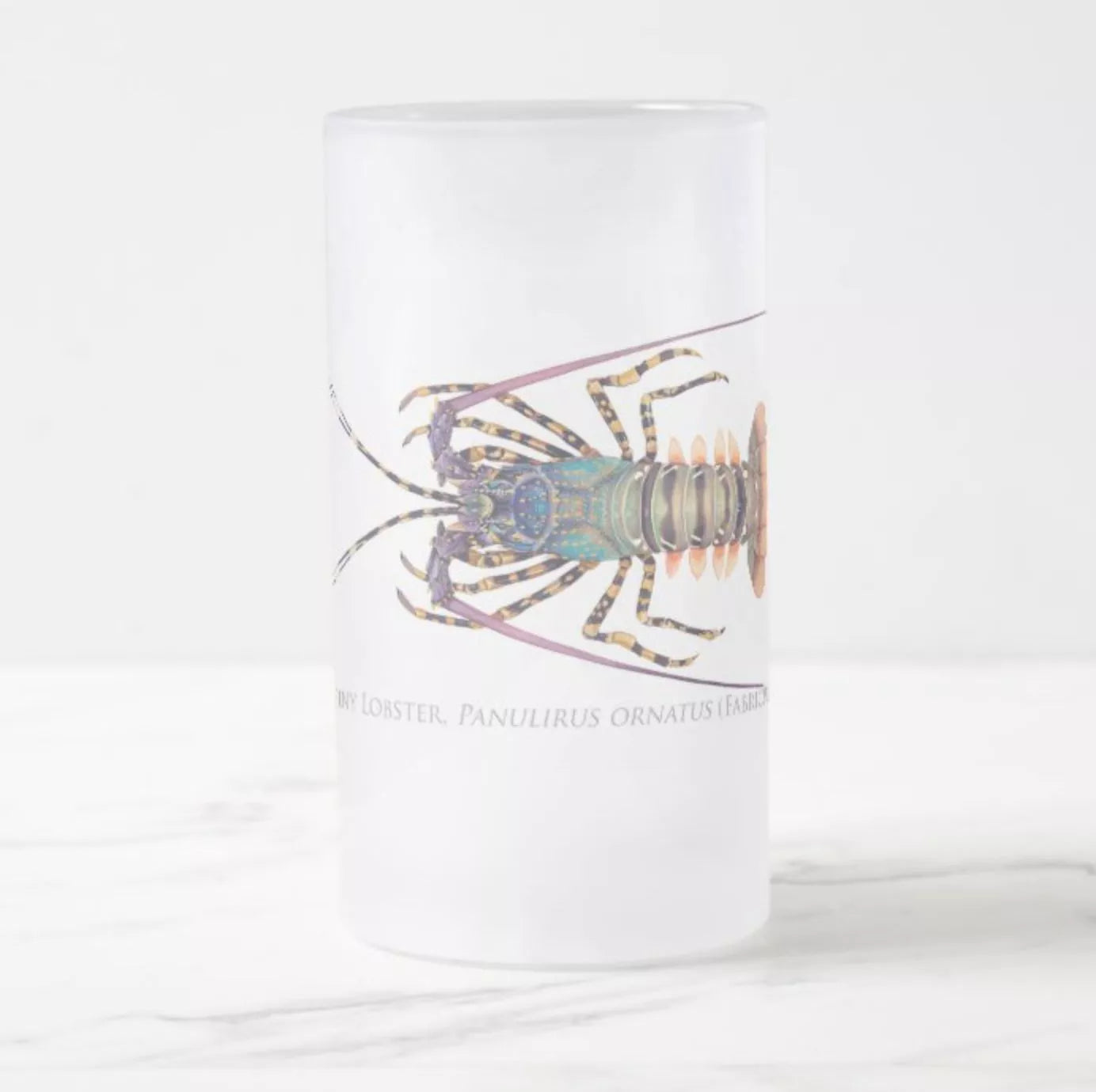 Ornate Spiny Lobster - Frosted Glass Stein-Stick Figure Fish Illustration