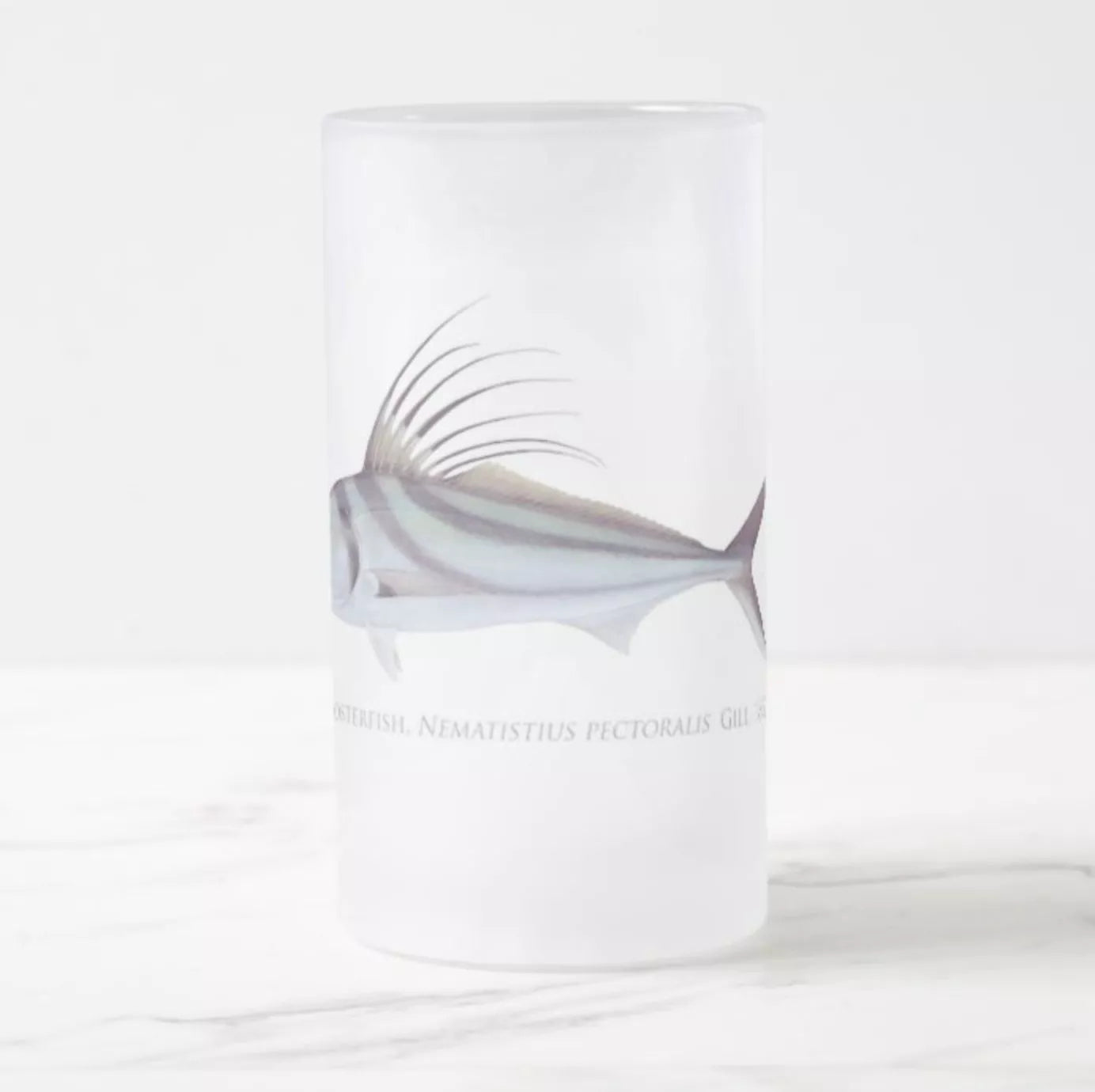 Roosterfish - Frosted Glass Stein-Stick Figure Fish Illustration