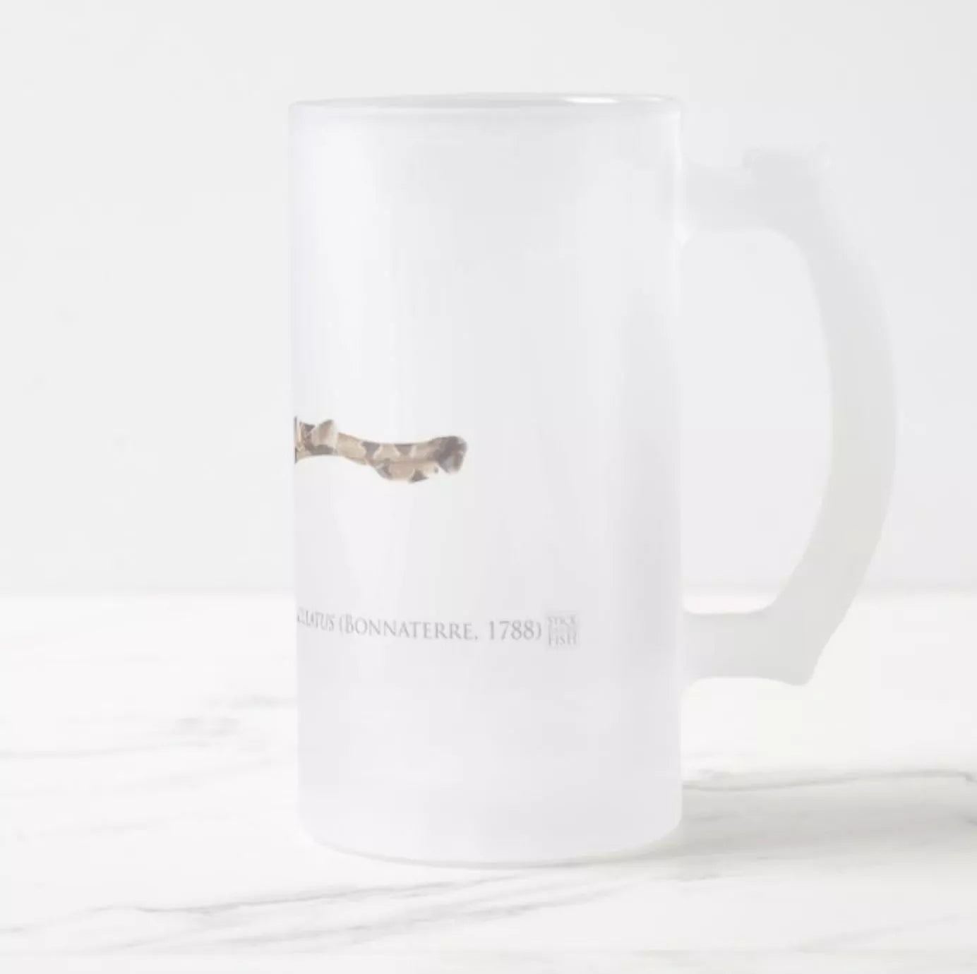 Spotted Wobbegong - Frosted Glass Stein-Stick Figure Fish Illustration