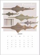 Stick Figure Fish 2021 Calendar - Rays of the world-Stick Figure Fish Illustration