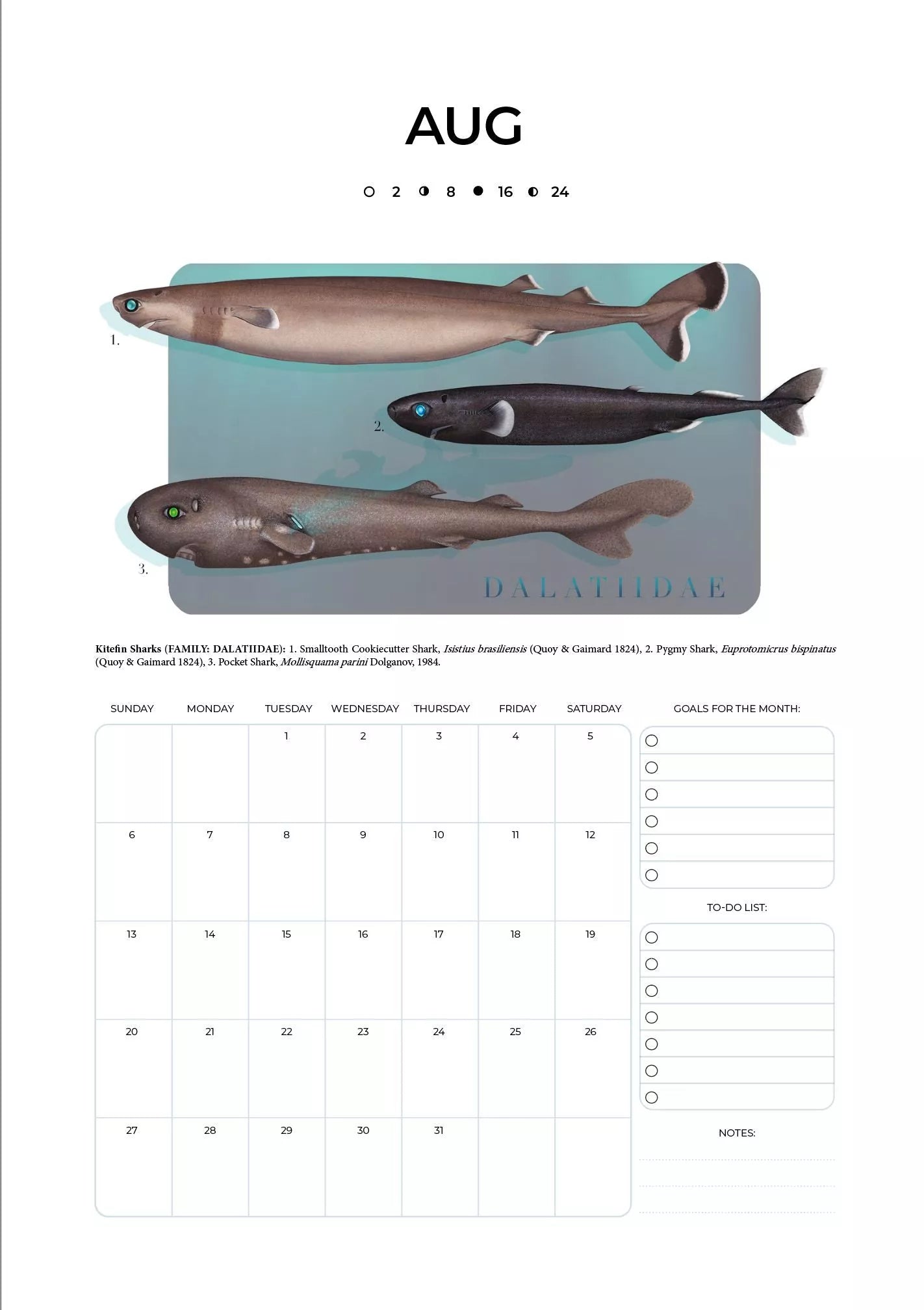 Stick Figure Fish 2023 Calendar - Sharks of the Deep-Stick Figure Fish Illustration