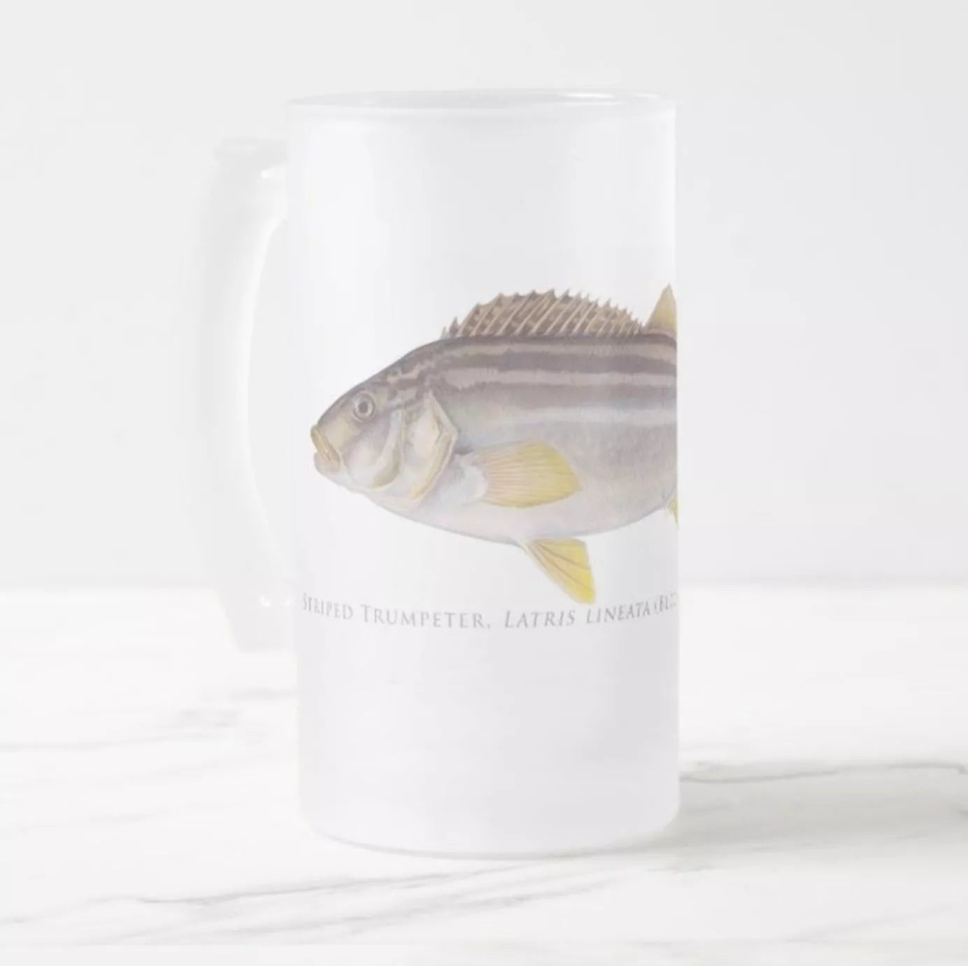 Striped Trumpeter - Frosted Glass Stein-Stick Figure Fish Illustration