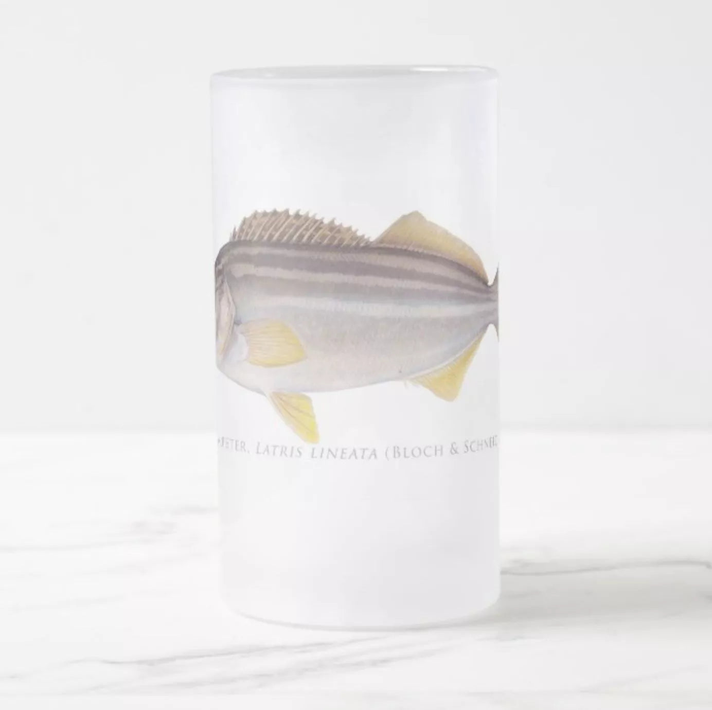 Striped Trumpeter - Frosted Glass Stein-Stick Figure Fish Illustration