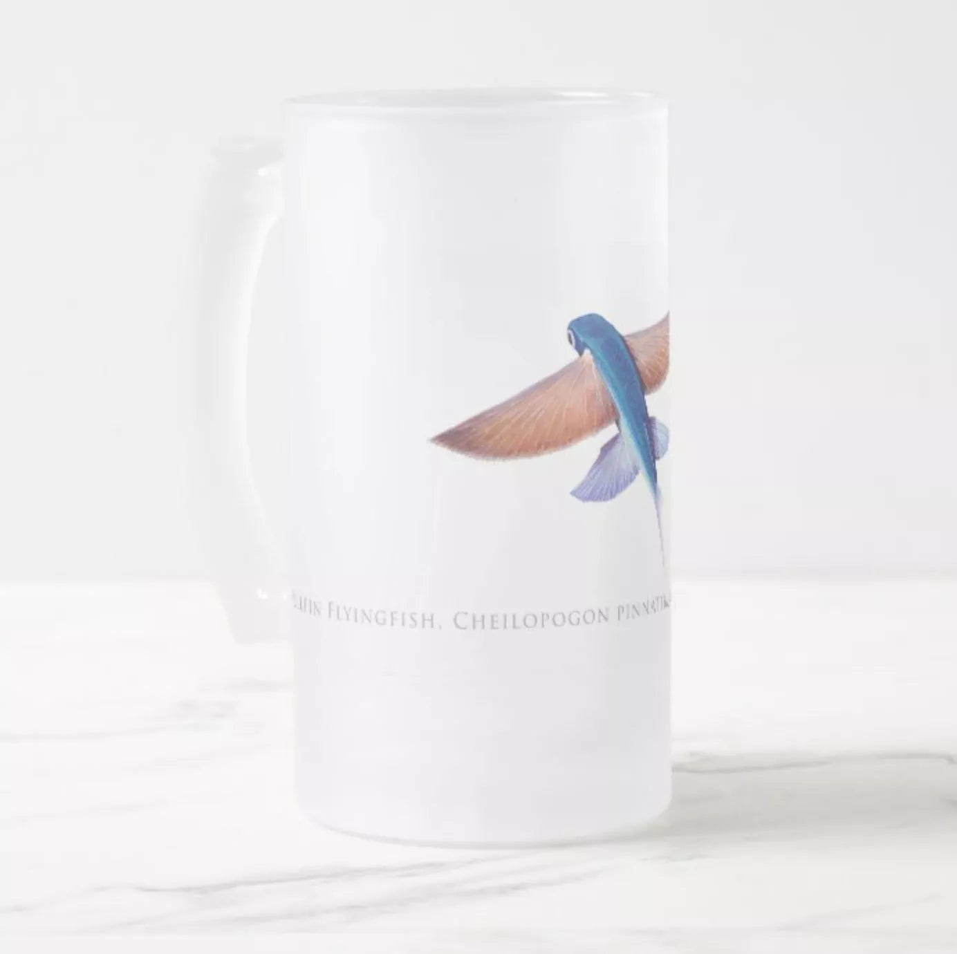 Tallfin Flyingfish - Frosted Glass Stein-Stick Figure Fish Illustration