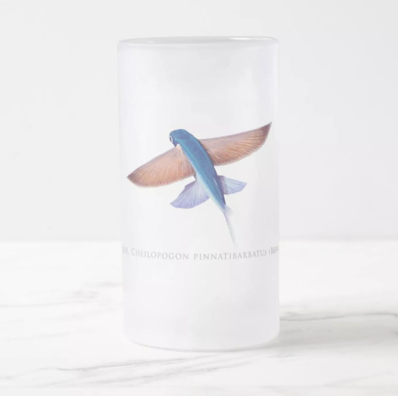 Tallfin Flyingfish - Frosted Glass Stein-Stick Figure Fish Illustration