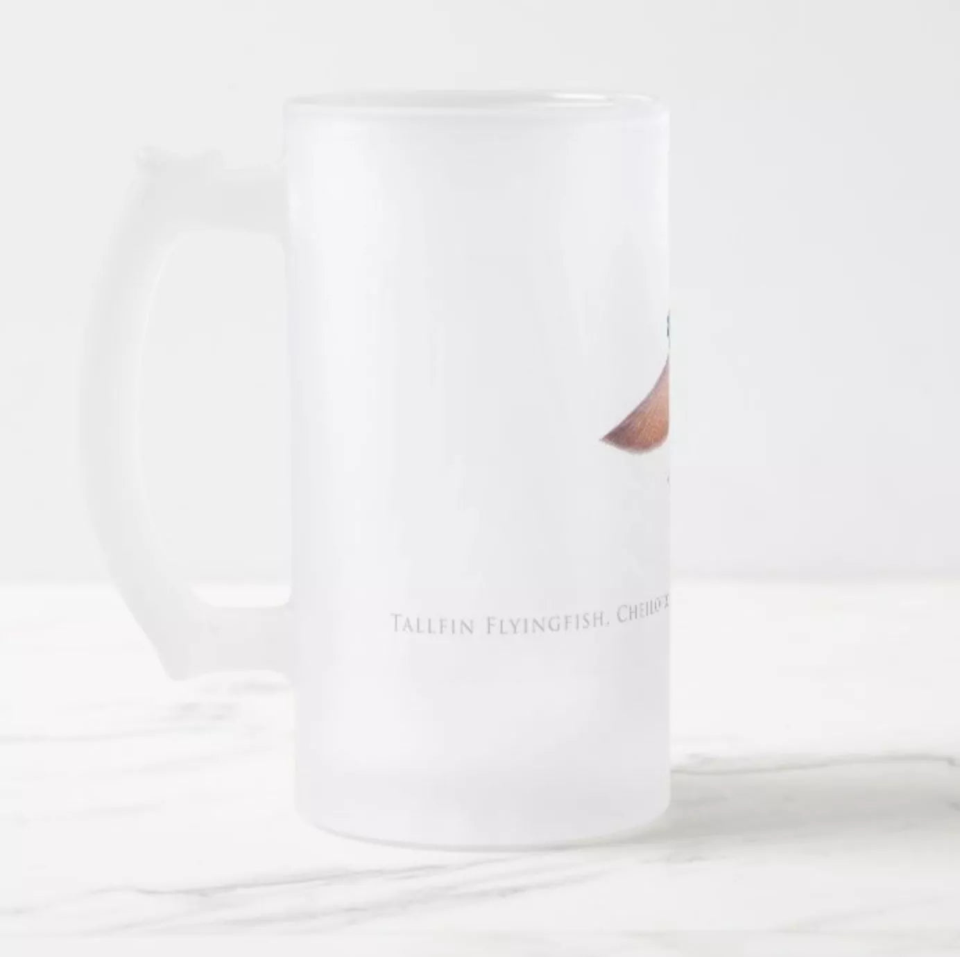 Tallfin Flyingfish - Frosted Glass Stein-Stick Figure Fish Illustration