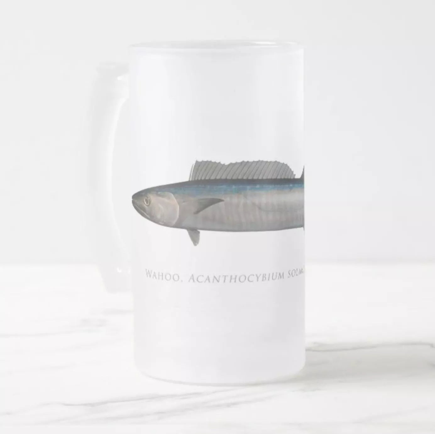 Wahoo No. 2 - Frosted Glass Stein-Stick Figure Fish Illustration